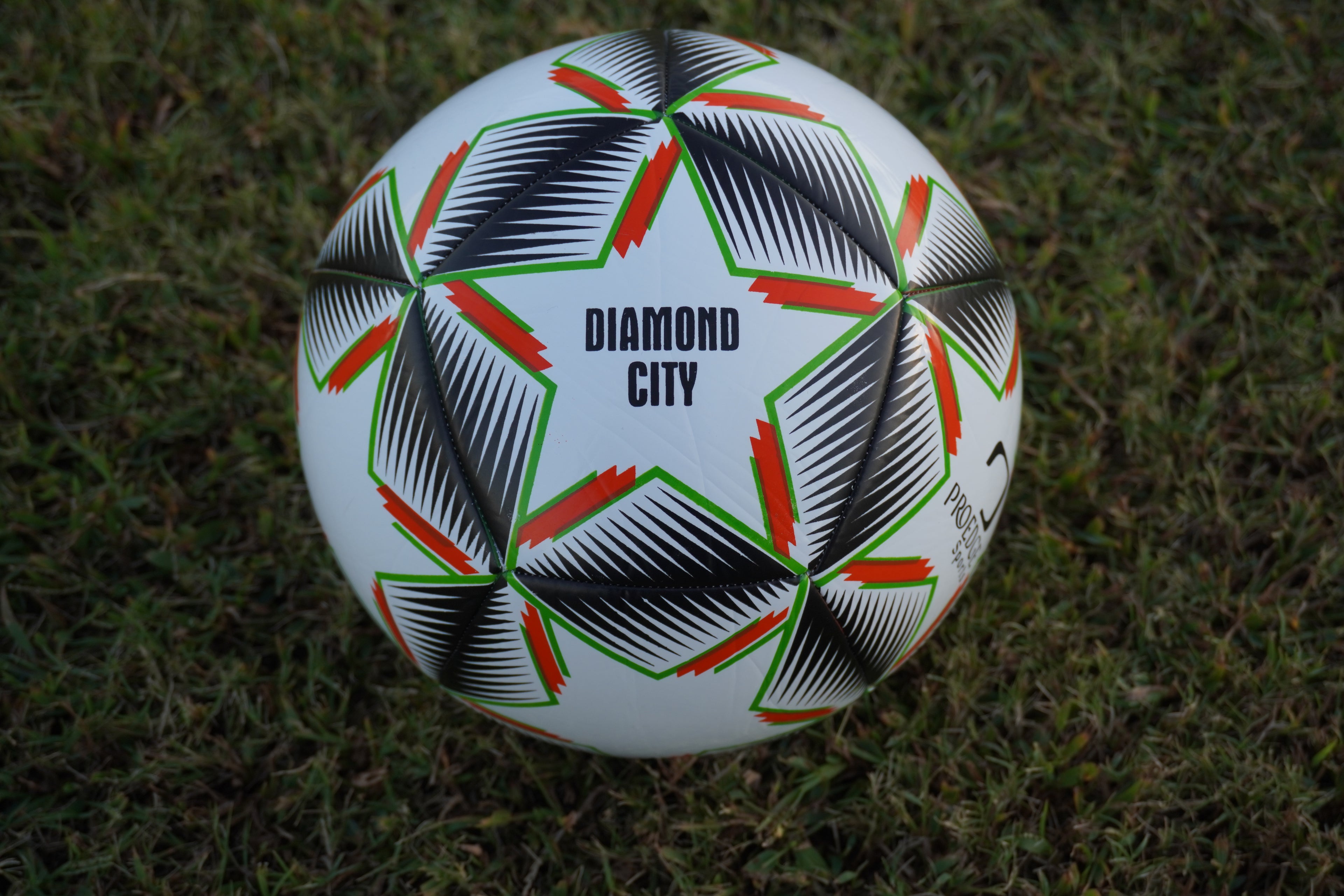Soccer Ball Machine Stitched