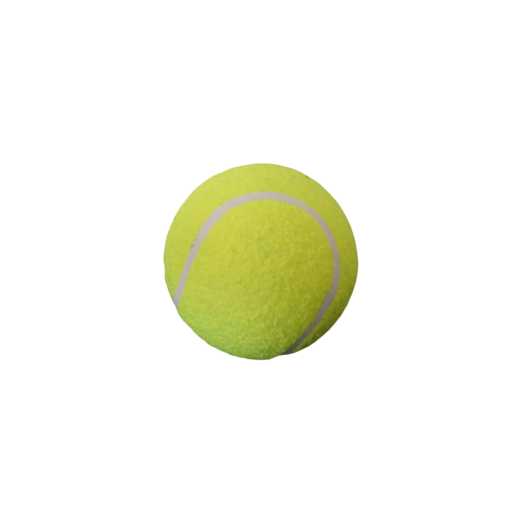 Tennis Balls Professional 15 unit per pack